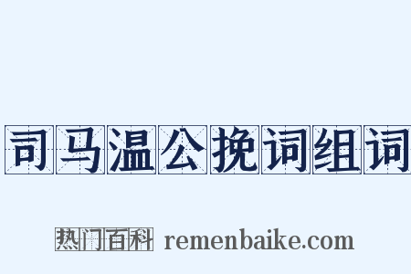 司马温公挽词组词是什么意思的图片